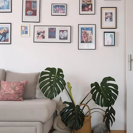 Rise & Shine Stara Zagora